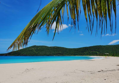 Self-Guided Culebra Island Day Trip 2