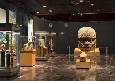 VIP Early Access to National Museum of Anthropology 2