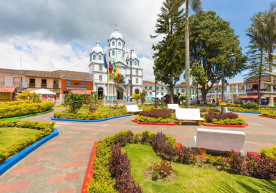 Filandia and Salento Coffee Towns Tour 2
