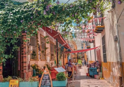 Colombian Cultural & Nature 13-Day Tour 2