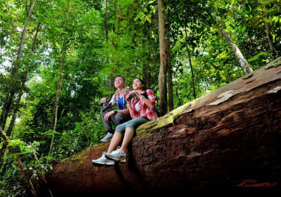 Taman Negara 2-Day Adventure Tour 2