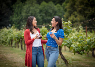 Woodinville Wine and Snoqualmie Falls Day Tour 2