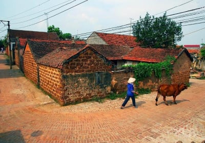 Duong Lam Historical Village Private Day Tour 2