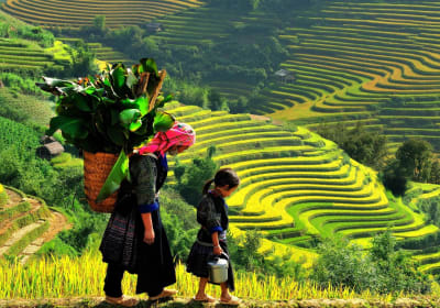 Luxury 2-Day Sapa Tour from Hanoi 2