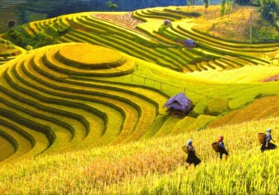 Sapa Trekking & Bac Ha Market Tour 2