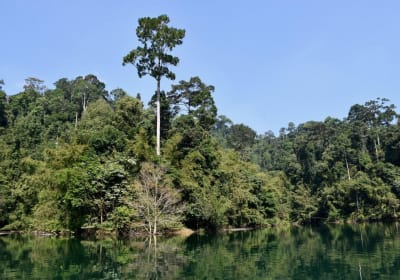 Cheow Lan Lake Adventure Tour 2