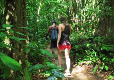 2-Day Khao Sok Jungle Safari from Krabi 2