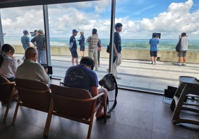 DMZ Observatory & Suspension Bridge Tour 2