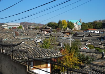 Full-Day UNESCO Heritage Tour with Suwon Hwaseong from Seoul 2