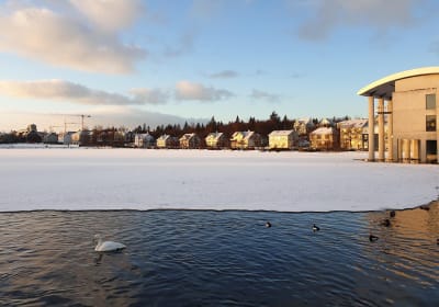 Reykjavik Highlights Private Walking Tour 2
