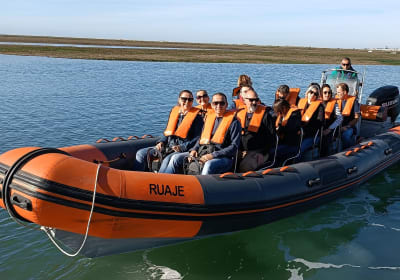 Faro Dolphin Watching Tour 2