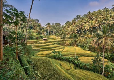 Bali's Iconic Landmarks Full-Day Tour 2