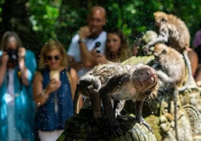 Ubud Nature and Culture Tour 2