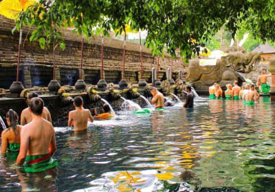 Kintamani Volcano & Besakih Temple Tour 2