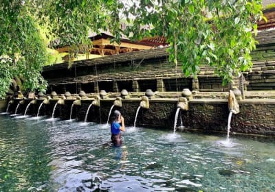 Best of Bali Private Tour 2