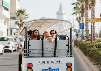 Private Eco Tuk Tuk Tour of Malaga 2