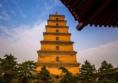 Beijing to Xi'an Bullet Train Tour 2