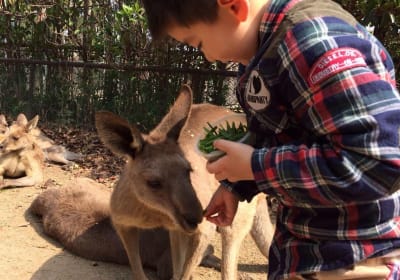 Beijing Badaling Wildlife World Private Tour 2