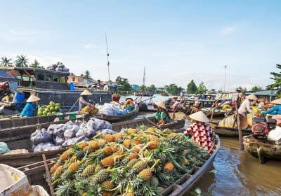 Mekong Delta Floating Market Tour 2