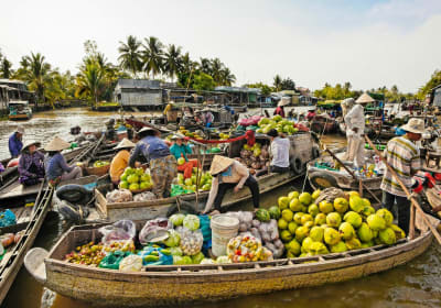 Mekong Delta 3-Day Floating Markets & Tra Su Forest Tour 2