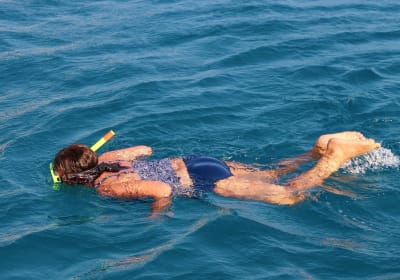 Marathon Key Snorkeling Adventure 2