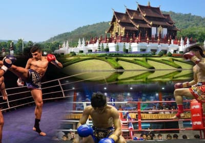 Chiang Mai Muay Thai Boxing Live at Thapae Stadium 2