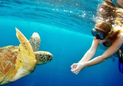 Surin Island Snorkeling Adventure 2