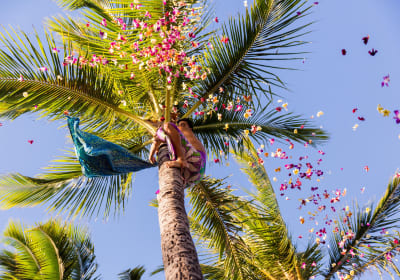 Oahu Paradise Cove Luau Experience 2