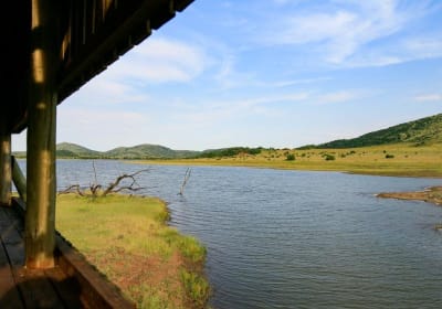 Pilanesberg Full-Day Safari Adventure 2