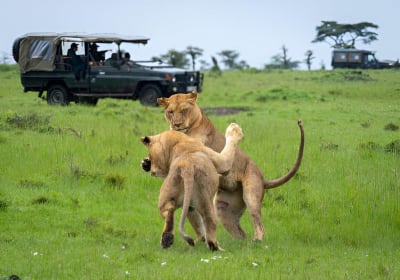 3-Day Eco Luxury Chobe River Safari 2