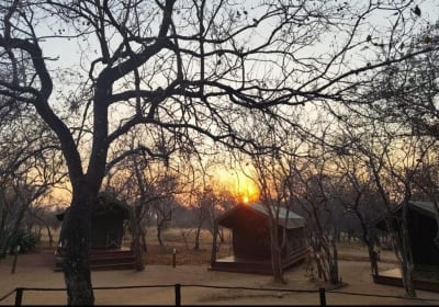 3-Day Kruger Glamping Budget Adventure 2