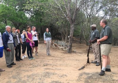 3-Day Masango Safari Tour Johannesburg 2