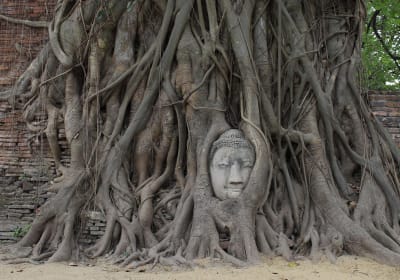 Ayutthaya Day Tour by Coach and Cruise 2