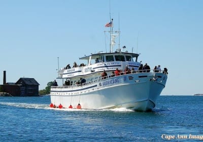 Gloucester Whale Watching Tour 2