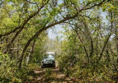 East Zion Brushy Cove Jeep Tour 2