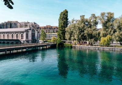 Geneva Jet d'Eau Secrets & Cruise Apéritif 2