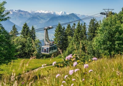 Rigi Queen of Mountains and Lucerne Day Trip 2