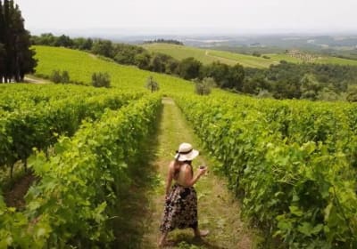 Chianti Vineyard Dinner & Wine Tasting 2