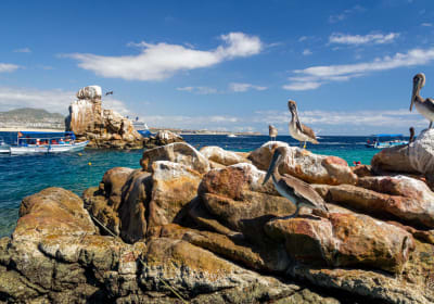 Clear Boat Adventure & Cabo City Tour 2