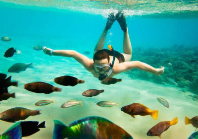 Cabo San Lucas Shopping, Tequila Tasting, and Snorkel Tour 2