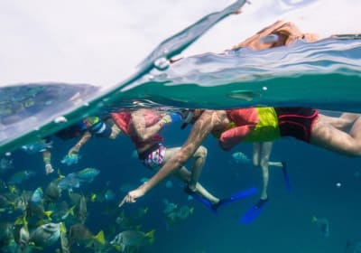 Cabo San Lucas Snorkel & Glass-Bottom Boat Tour 2