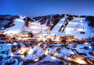Elysian Gangchon Ski Pro Lesson Package 2