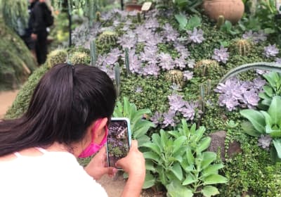Puerto Vallarta Botanical Gardens Hiking Tour 2