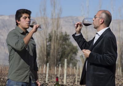 South Wine Route Tour 2
