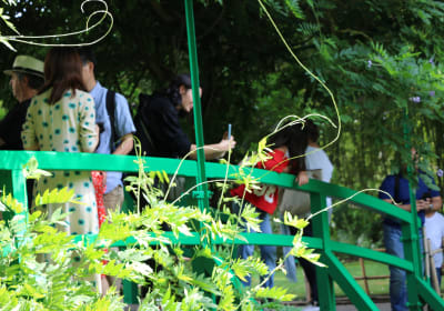Versailles & Giverny Private Tour 2