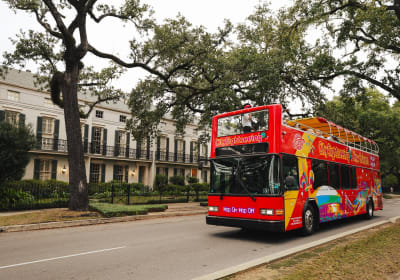 New Orleans Hop-On Hop-Off Tour 2