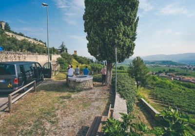 Valpolicella and Amarone Wine-Tasting Tour 2