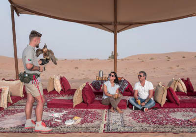 Private Falconry Experience in Dubai 2