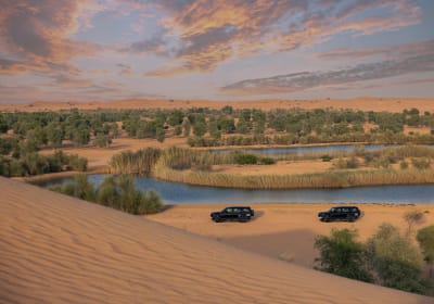 Dubai Desert Conservation Drive with Breakfast 2