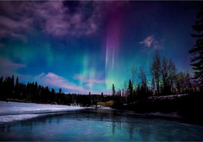 Northern Lights & Chena Hot Springs Tour 2